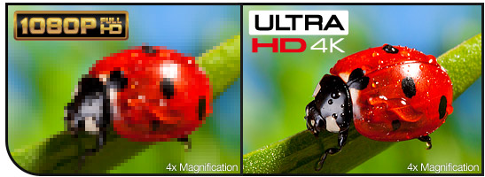 4x the Resolution and Detail vs. 1080p Full HD